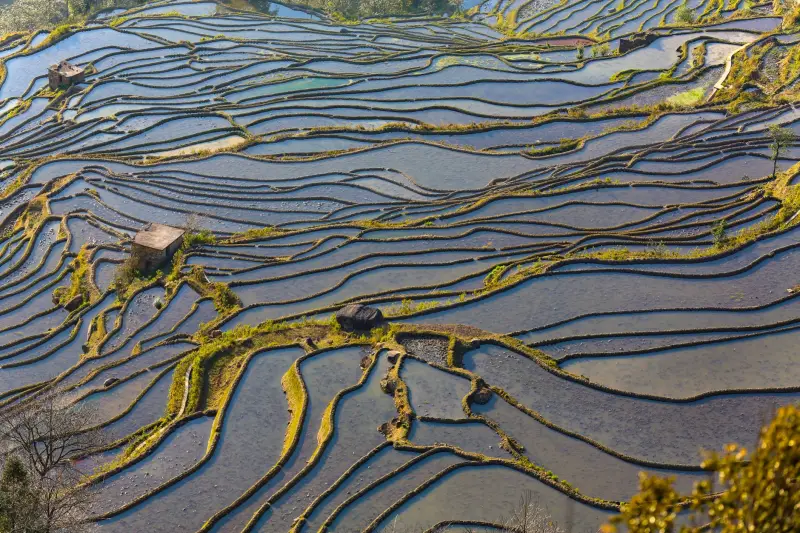 照明箱与动力箱技术要点对比：成都地区配电设备解析